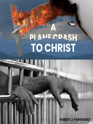cover image of A Plane Crash to Christ